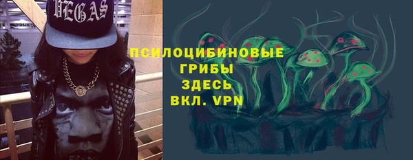 прущие грибы Белокуриха