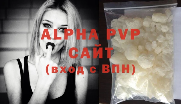прущие грибы Белокуриха