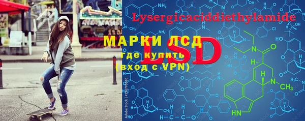прущие грибы Белокуриха