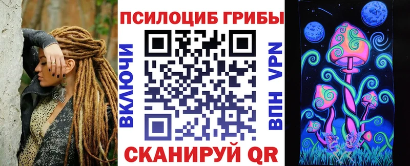 где можно купить наркотик  Обь  Галлюциногенные грибы Psilocybine cubensis 